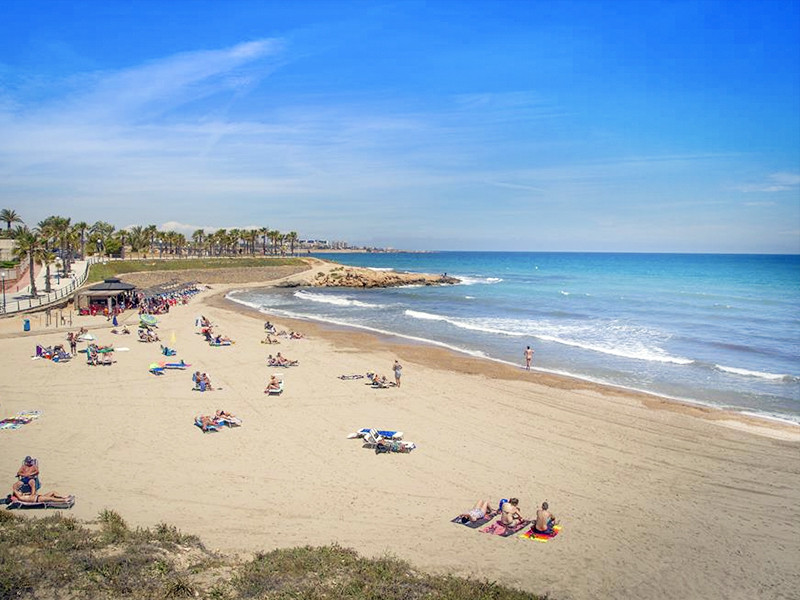 Guía de Playa Flamenca