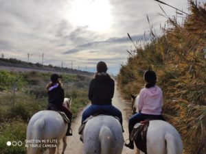 Vivir en la Costa Blanca Sur, es mas que Sangría y Sol